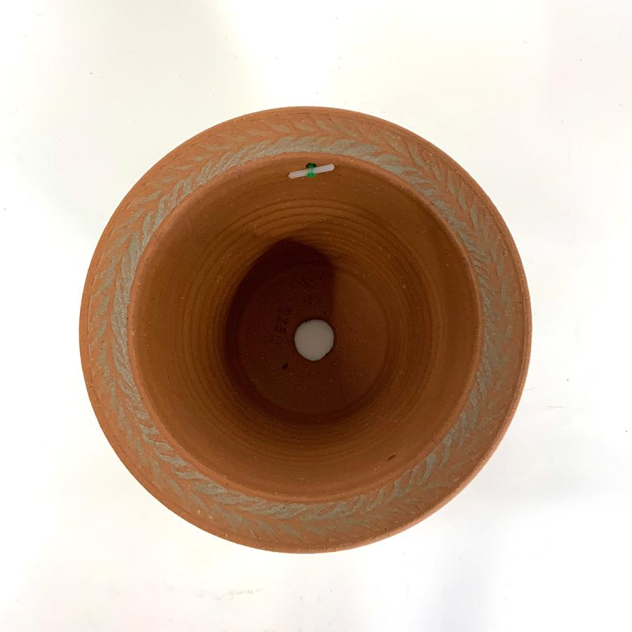 ウィッチフォード 523 Whichford Olive Pot オリーブポット ウィッチフォード 523 Whichford Olive Pot オリーブポット