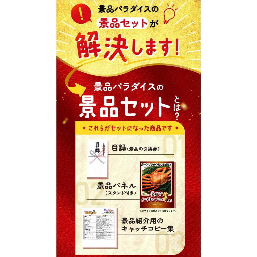 景品パラダイス 景品 セット 目録 ギフト 単品 パネル ダイソン 景品パラダイス 景品 セット 目録 ギフト 単品 パネル ダイソン