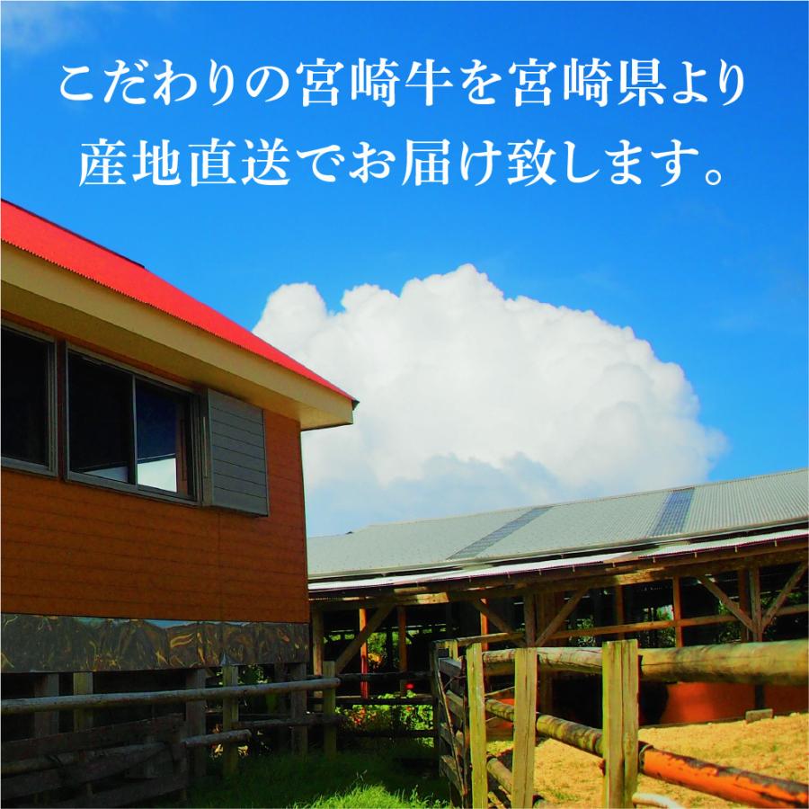 GIFT PARADISE カタログギフト 選べる宮崎牛 国産 和牛 産直 肉 グルメ プレゼント 御礼 お祝い 内祝い のし｜keihin-paradise｜11