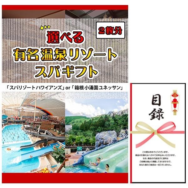 結婚式の二次会の景品にも 選べる 体験ギフト 有名温泉リゾート スパ ギフト ペア 入場 チケット 2種 景品パネル 目録付き Pymr Go Th
