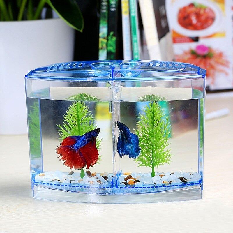 直接引取り限定　水槽　60㎝　ベタマンション　ベタ　熱帯魚　メダカ　金魚　稚魚 状況に応じて仕切る☆水槽 分離 稚魚 卵 用途別 ベタ めだか 金魚 小魚
