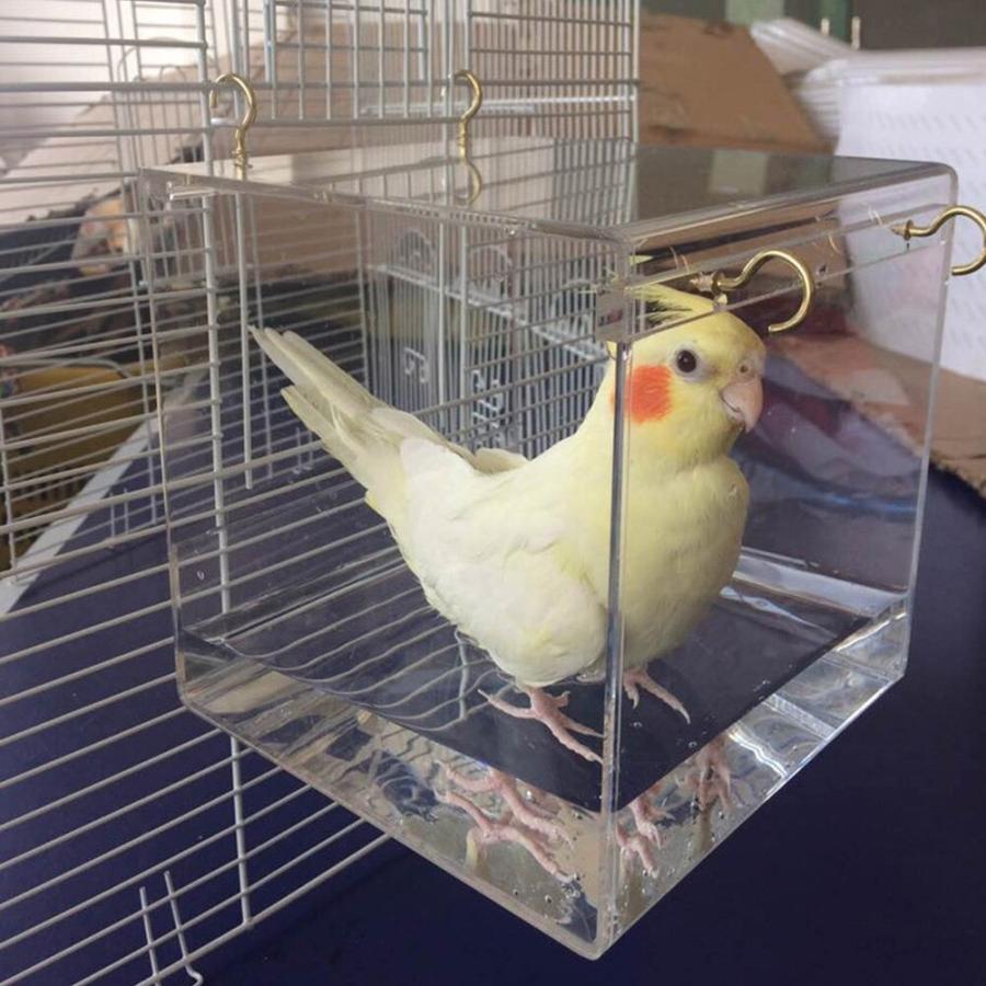 ほとんどの鳥かごペットオウムセキセイインコオカメインコケージ水