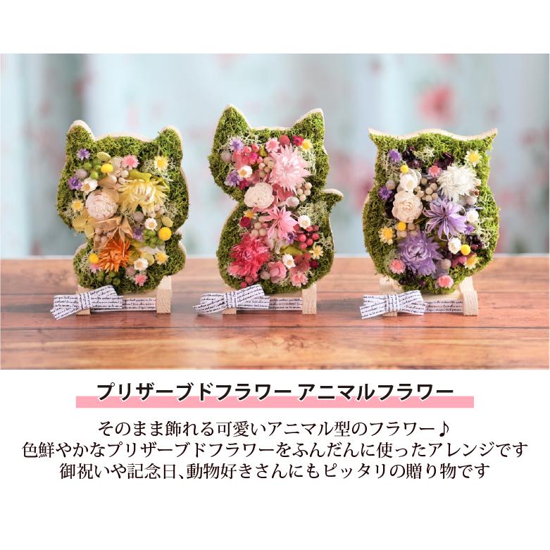 動物アレンジメント アニマルフラワー 犬・猫・ふくろう・うさぎ