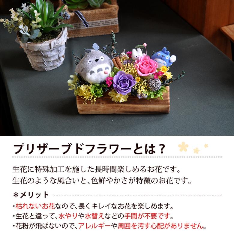 希少】となりのトトロ ガーデニングリース 流木にのって ジブリ 置物