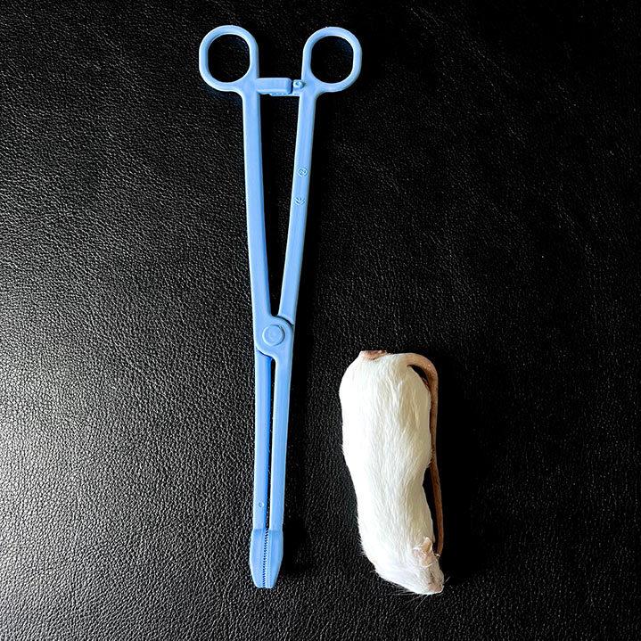 爬虫類用 ピンセット鉗子(かんし)タイプ プラスチック製 ロック式 冷凍
