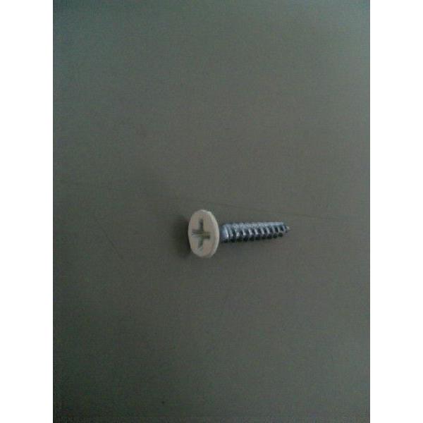 軽天ビス ラッパカラー3.0X20（マーブルトーン色）1000本 : ねじ工場