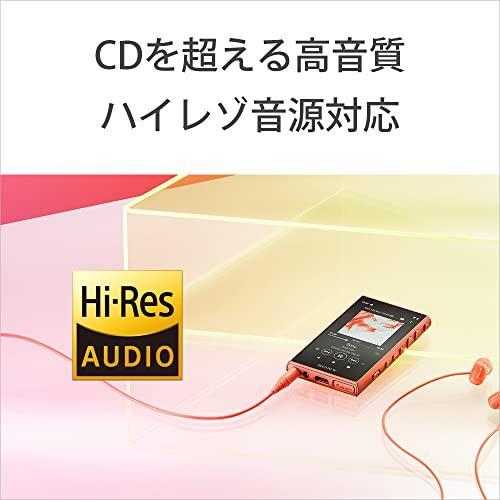 ソニー ウォークマン 16GB Aシリーズ NW-A105HN : ハイレゾ対応 / MP3