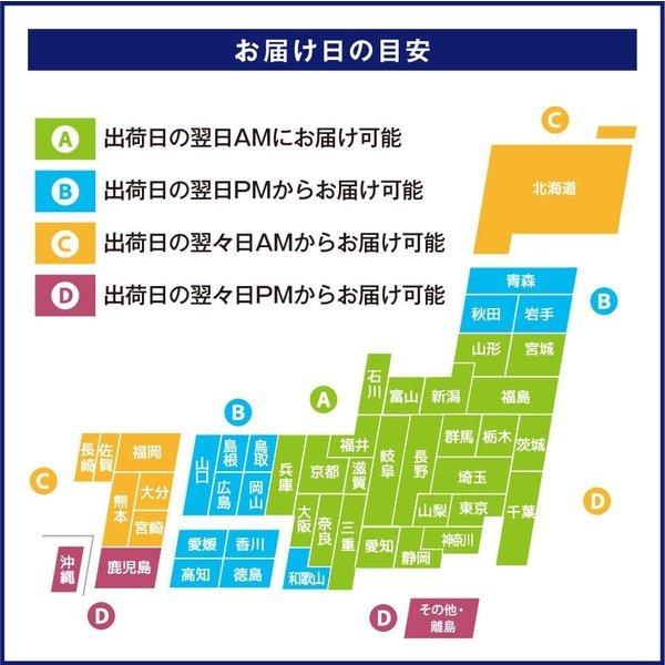 造り酒屋の甘酒 ノンアルコール 米と米麹だけ 砂糖不使用 900ml × 2本 ギフト セット | 遠藤酒造場 | 10