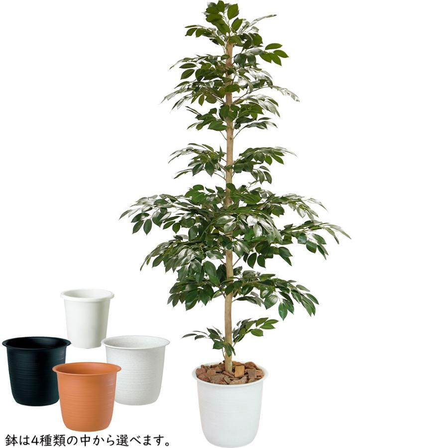 インテリアグリーン 大型 人気 リアル フェイクグリーン 観葉植物 人工