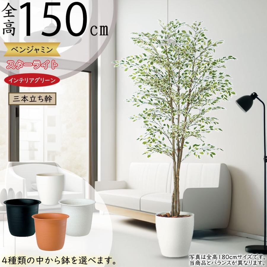 光触媒　人工観葉植物　フェイクグリーン　ベンジャミン FST150 光触媒 光の楽園ベンジャミン 1.0m【インテリア フェイクグリーン 人工