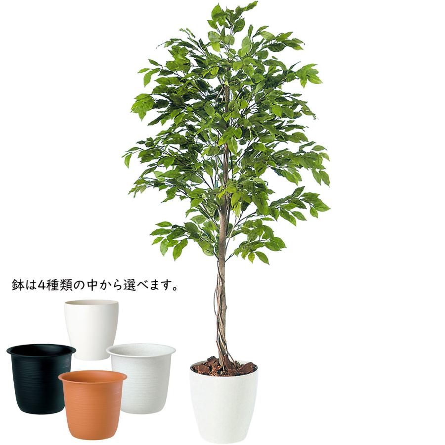 ベンジャミン 大型 人気 おしゃれ フェイクグリーン 特大 観葉植物