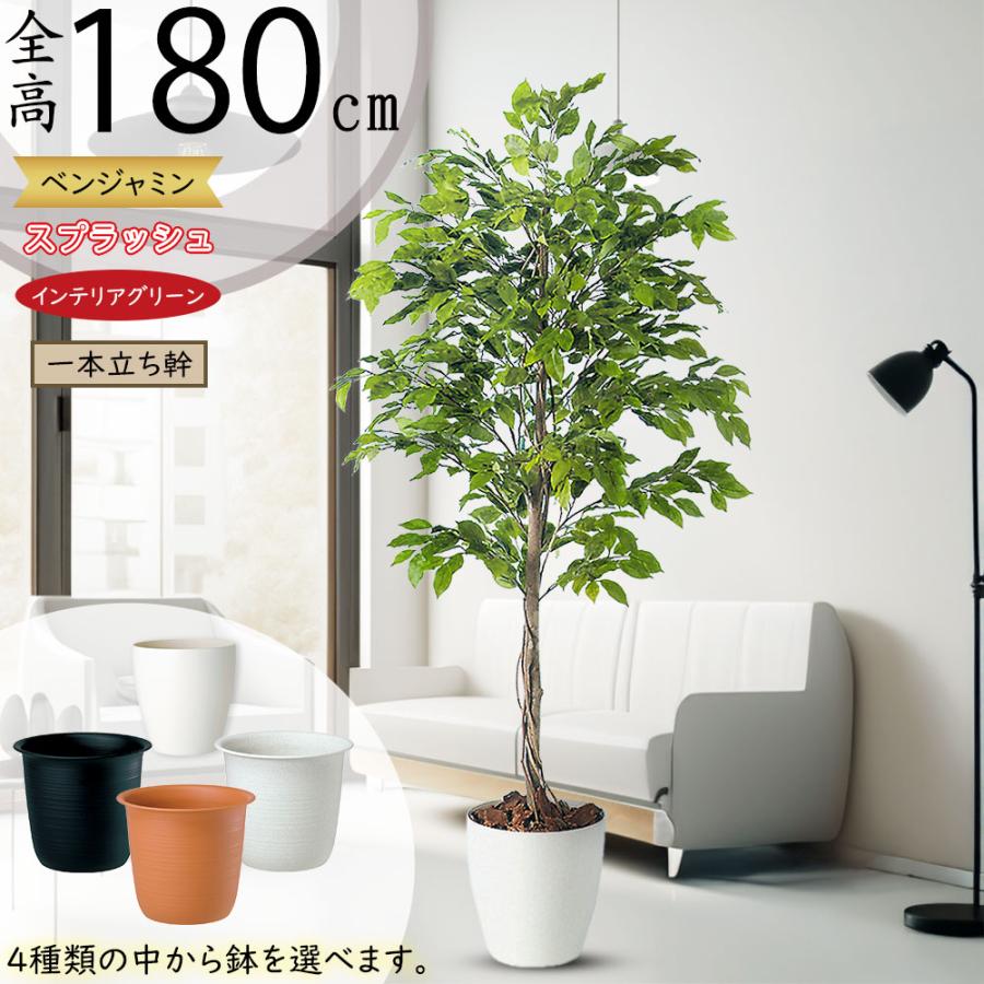 光触媒　人工観葉植物　フェイクグリーン　ベンジャミンスプラッシュリアナ150 楽天市場】フェイクグリーン 光触媒 人工観葉植物 観葉植物 大型