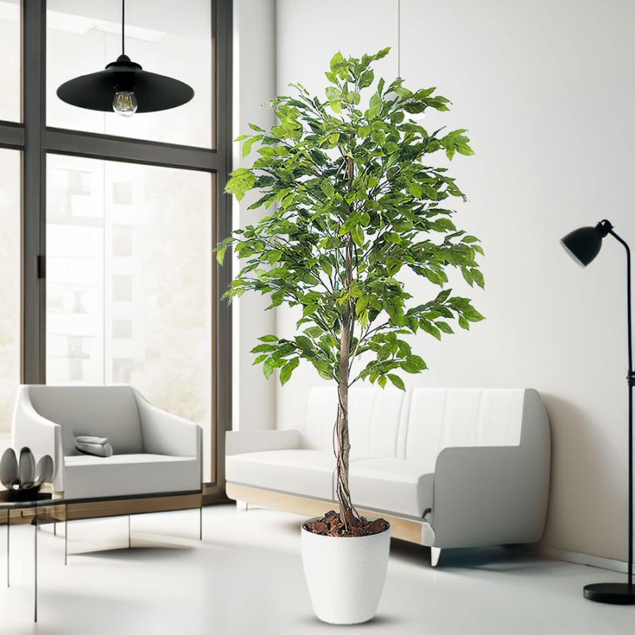 ベンジャミン 大型 人気 おしゃれ フェイクグリーン 観葉植物