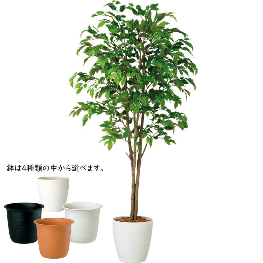 ベンジャミン 大型 人気 おしゃれ フェイクグリーン 観葉植物