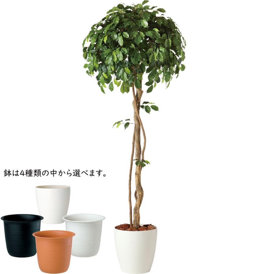 インテリアグリーン おしゃれ 人気 リアル おすすめ 観葉植物 人工観葉 