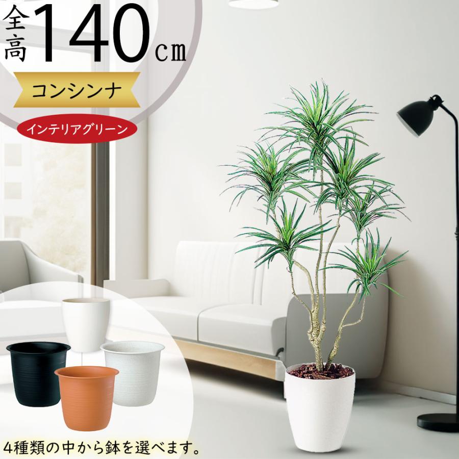 光触媒　人工観葉植物　人工観葉植物　フェイクグリーン　ドラセナコンシンネ 人工観葉植物 フェイクグリーン 観葉植物 造花 光触媒 大型