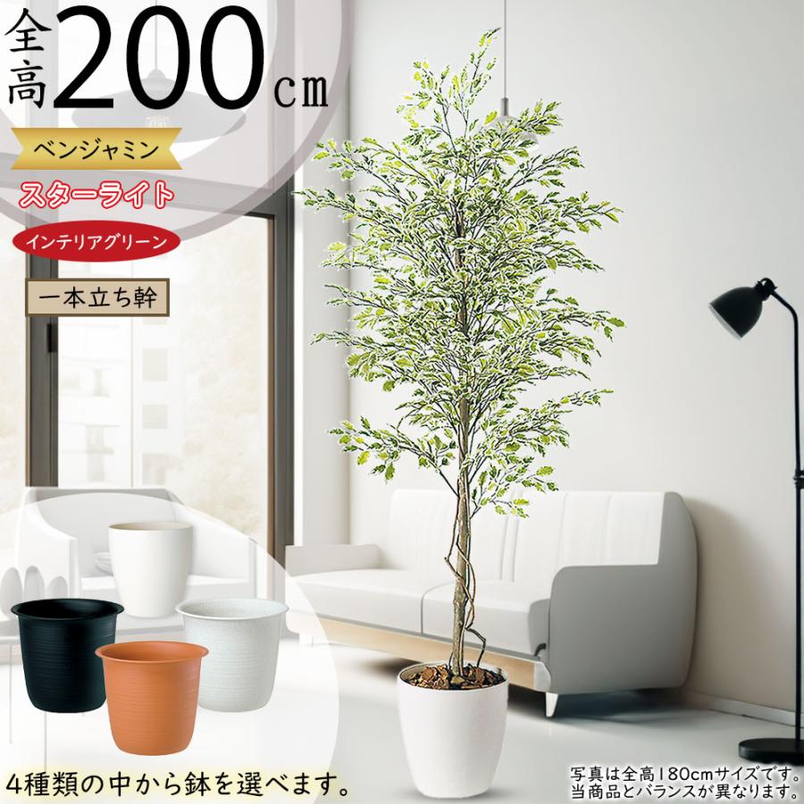 ベンジャミン 大型 人気 おしゃれ フェイクグリーン 観葉植物