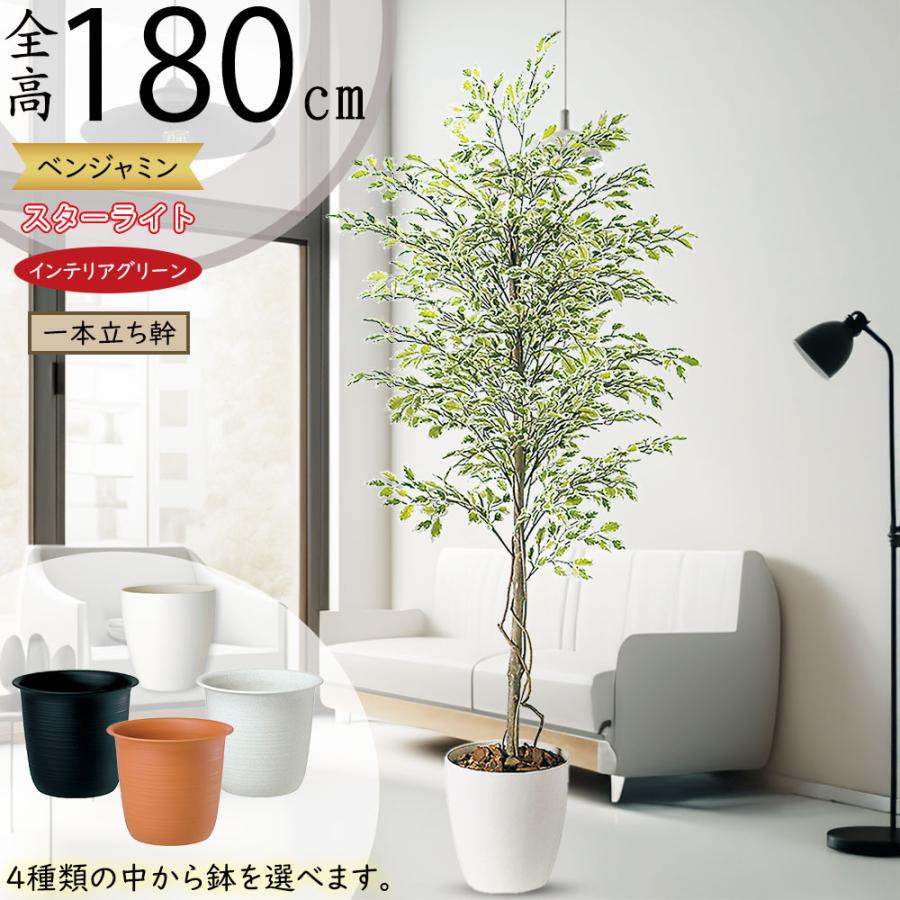 光触媒　人工観葉植物　フェイクグリーン　ベンジャミナスターライトコアッド ベンジャミン 大型 人気 おしゃれ フェイクグリーン 観葉植物