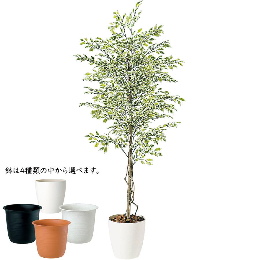 ベンジャミン 大型 人気 おしゃれ フェイクグリーン 観葉植物