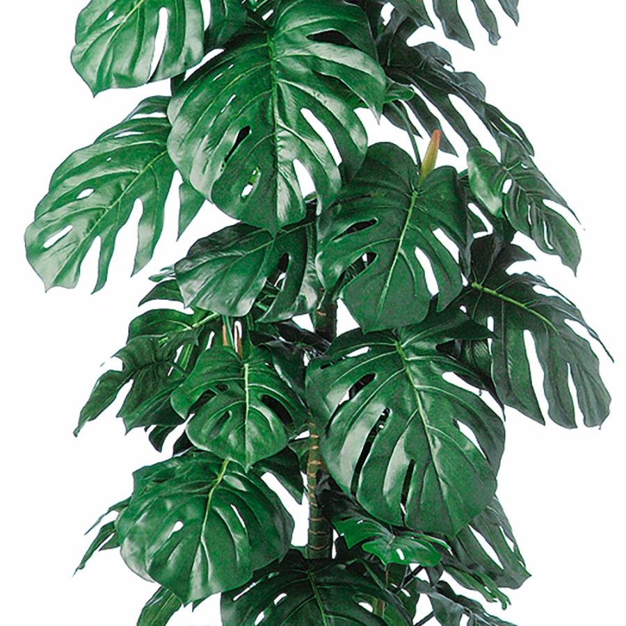 モンステラ おしゃれ 人気 インテリアグリーン 観葉植物 フェイク