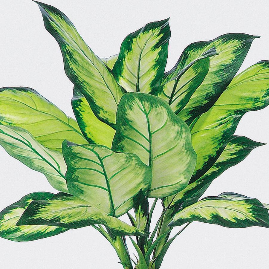 ディフェンバキア インテリアグリーン おしゃれ 観葉植物 フェイク