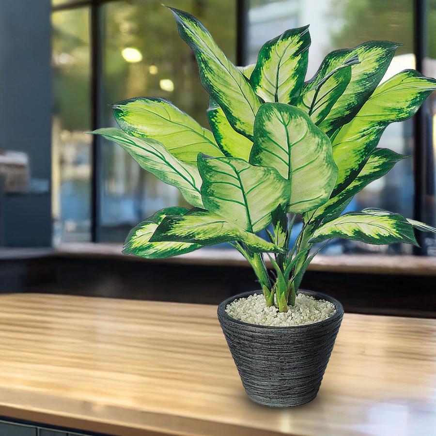 ディフェンバキア インテリアグリーン おしゃれ 観葉植物 フェイク