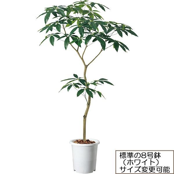 好評 パキラ 人工観葉植物 全高1 5m ワイヤー入り合成樹脂製人工幹 人工樹木 造花 インテリアグリーン フェイクグリーン Fst