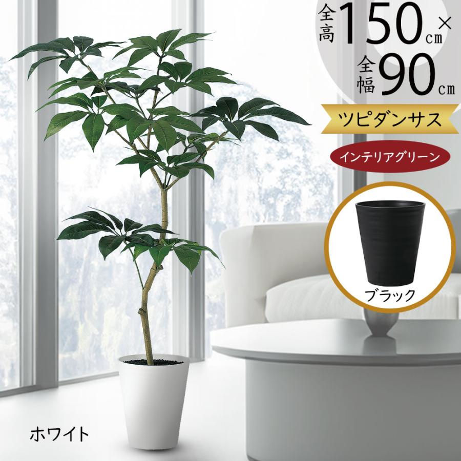 光触媒　人工観葉植物　ウォールグリーン　フェイクグリーン　ツピタンサス11 光触媒 光の楽園ナチュラルツビタンサス 1.0m【インテリア