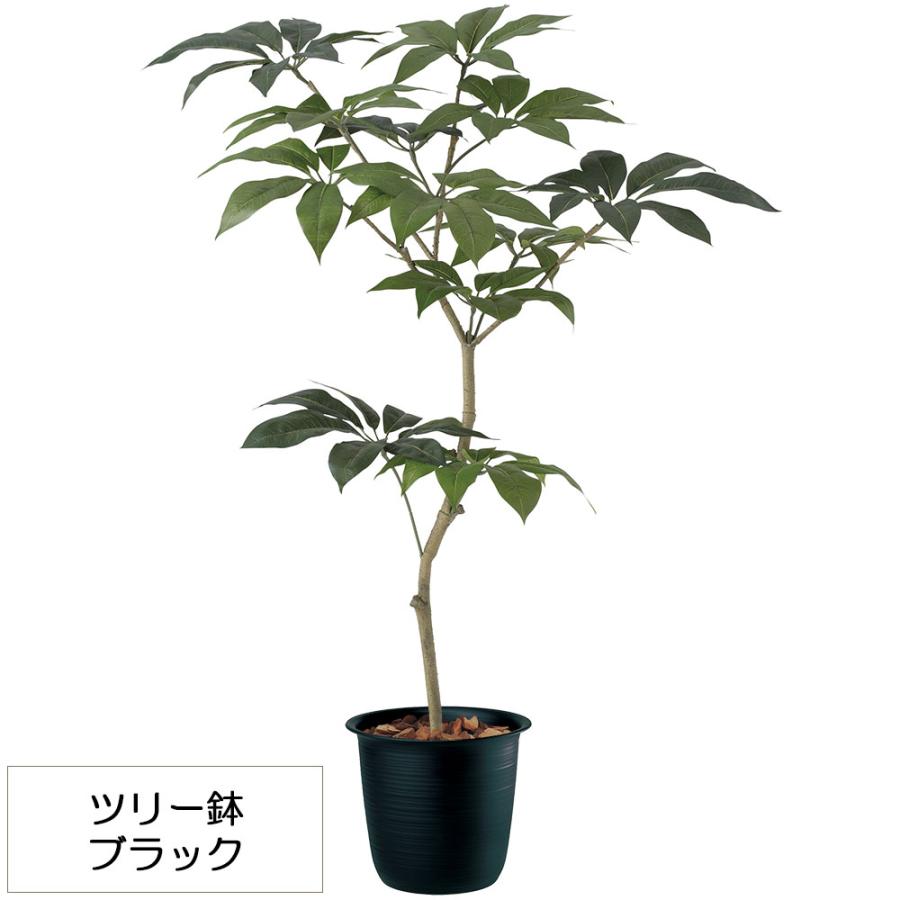 観葉植物 おしゃれ 人気 インテリアグリーン フェイク ツピダンサス 1.5m 91603tk｜keishin｜07