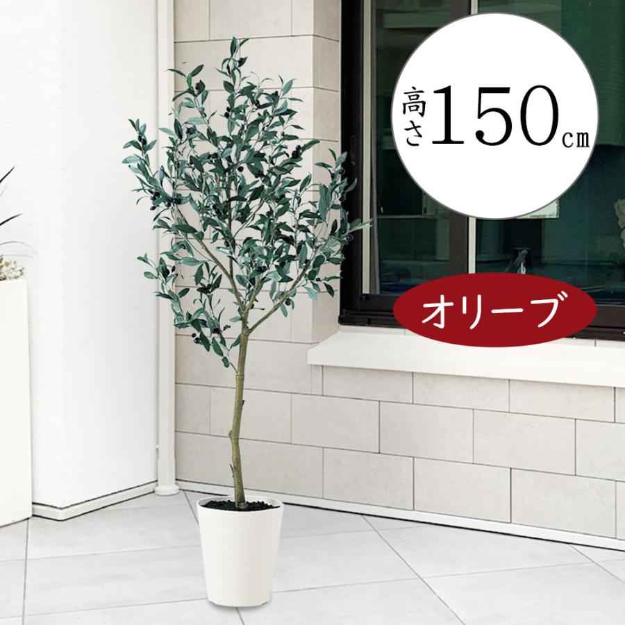 オリーブの木 おしゃれ 大型 インテリアグリーン 人気 フェイク