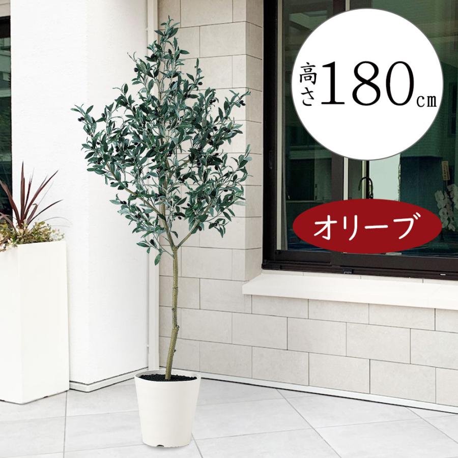 メーカー包装済 オリーブ 人工観葉植物 全高1 8m ブラック Fst オレイフ 人工樹木 造花 インテリアグリーン フェイクグリーン tk 人工観葉植物と造花の通販ケイシン 通販 Yahoo ショッピング 人気満点 Www Maxipiso Com Ar