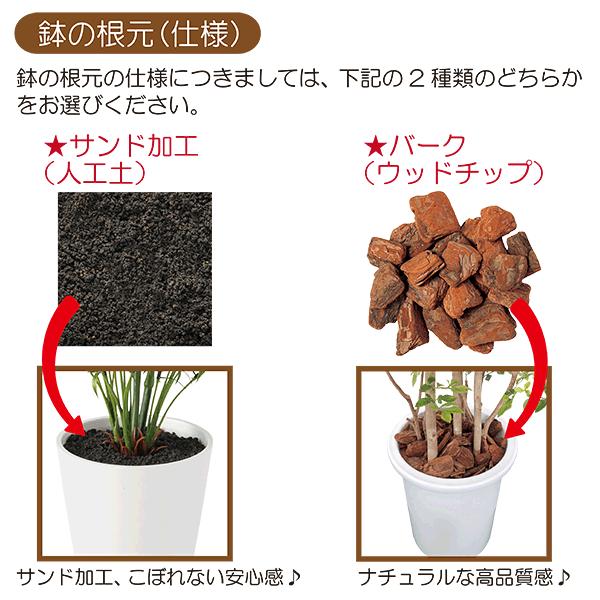 アレカヤシ 人工観葉植物 全高2 0m 株立 大型 ヤシの木 トロピカル リゾート 人工樹木 造花 フェイクグリーン tk 人工観葉植物と造花の通販ケイシン 通販 Yahoo ショッピング