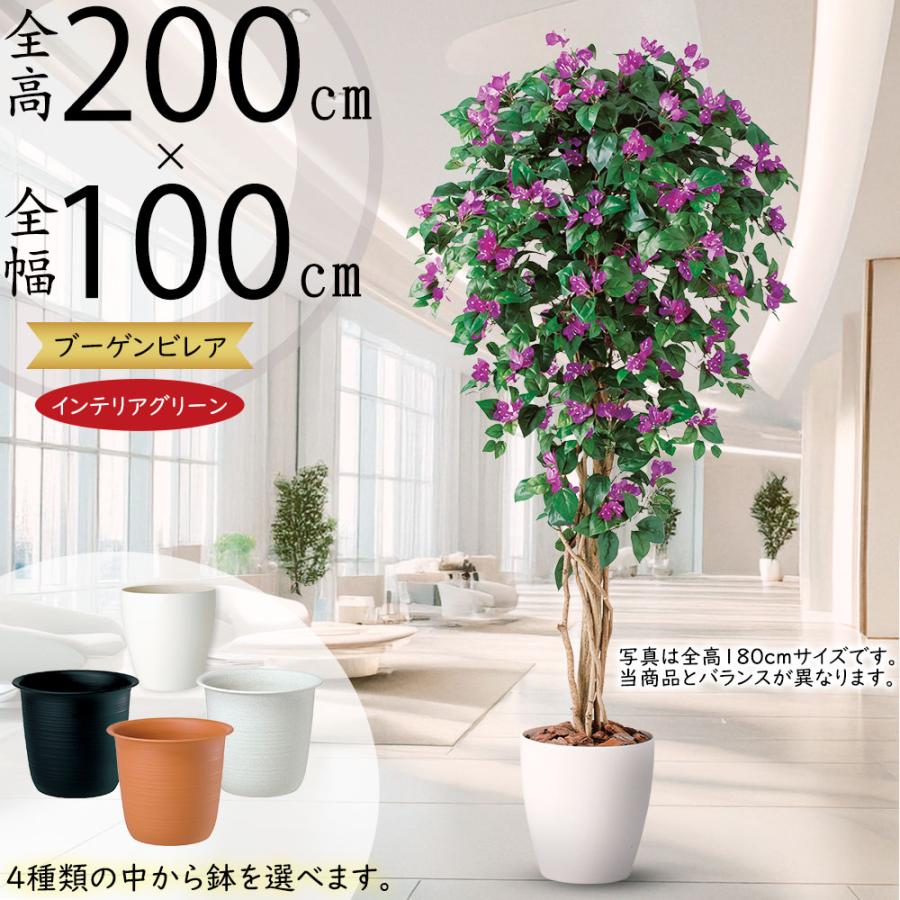 展示会用大型インテリア観葉植物
