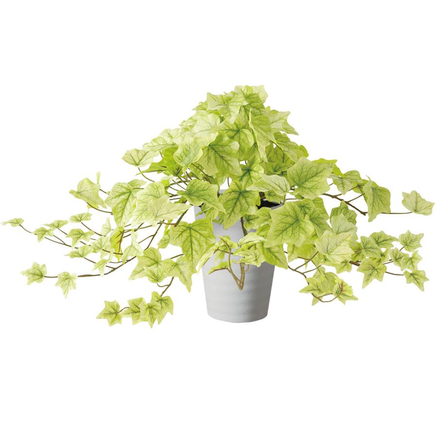 インテリアグリーン アイビー おしゃれ 観葉植物 人気 フェイク