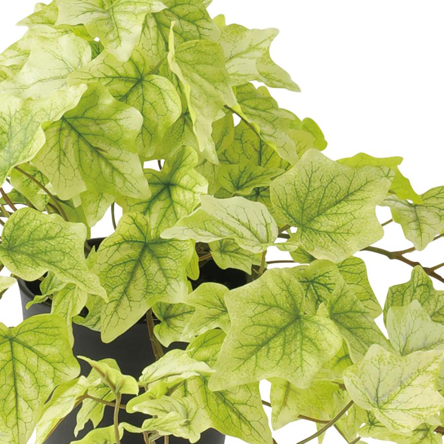 インテリアグリーン アイビー おしゃれ 観葉植物 人気 フェイク