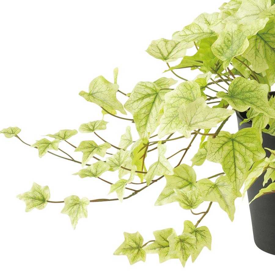 インテリアグリーン アイビー おしゃれ 観葉植物 人気 フェイク