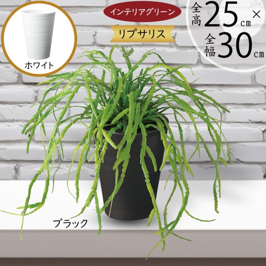 フェイクグリーン 観葉植物 リプサリス インテリア リプサリス インテリアグリーン おしゃれ 人気 フェイクグリーン