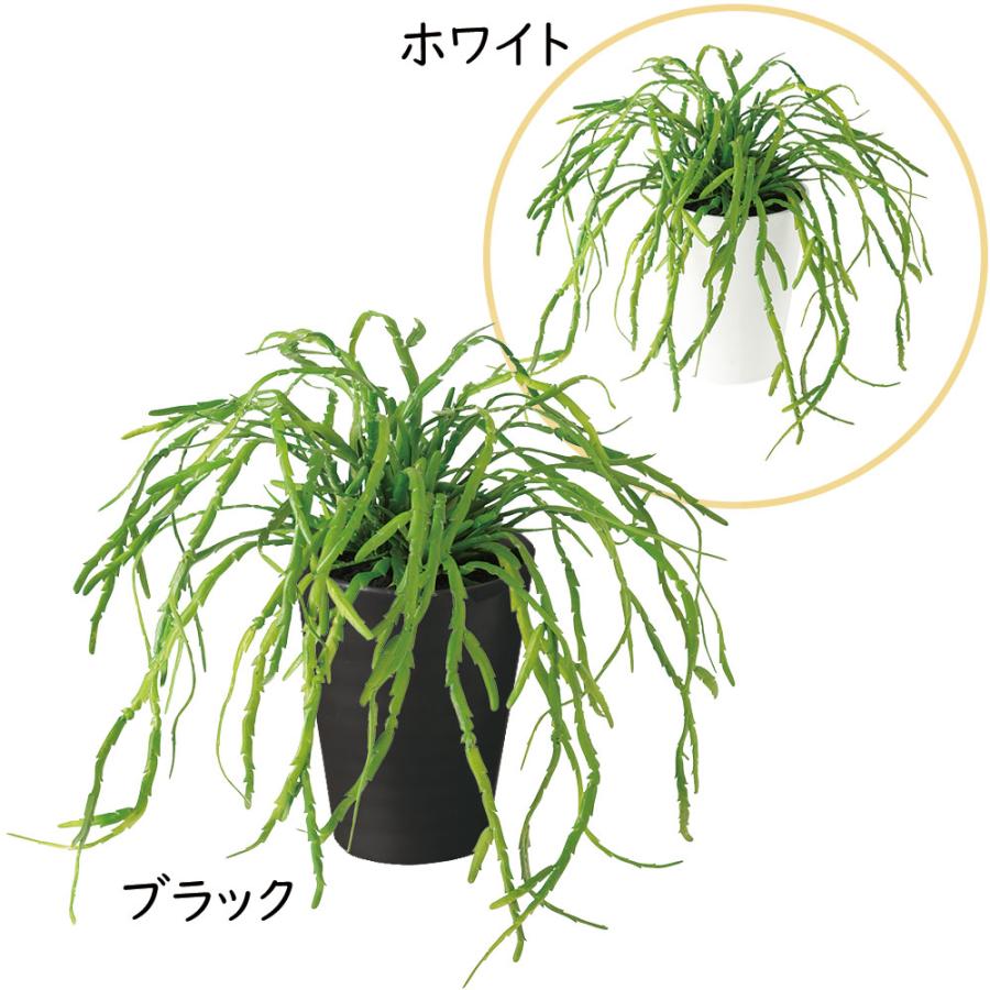 リプサリス インテリアグリーン おしゃれ 人気 フェイクグリーン