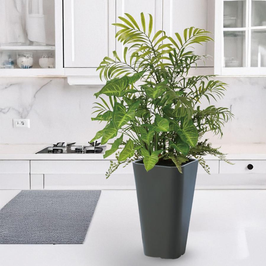 テーブルヤシ 大型 観葉植物 人気 おしゃれ インテリアグリーン