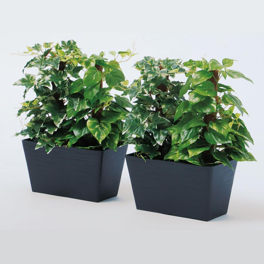 光触媒　人工観葉植物　ウォールグリーン　フェイクグリーン　マーブルポトスヘゴ 光触媒 人工観葉植物 ウォールグリーン フェイクグリーン