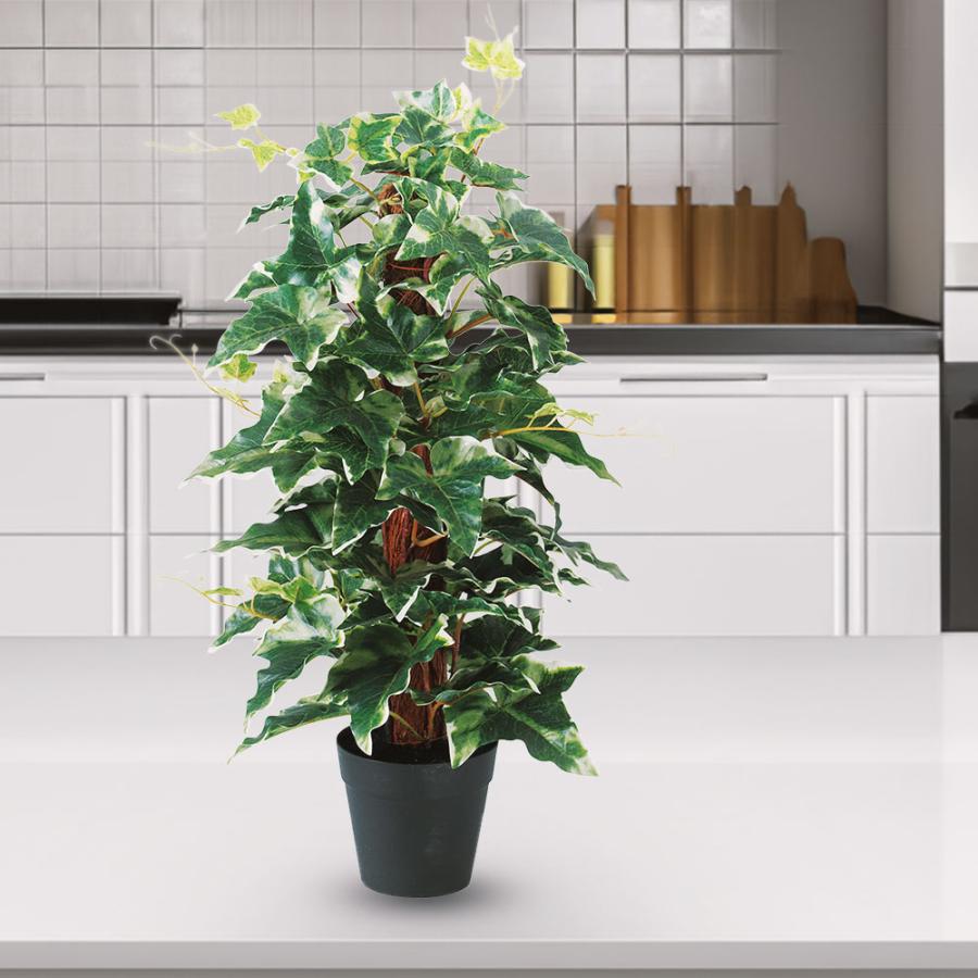 観葉植物 おしゃれ インテリアグリーン アイビー タワー ヘゴ 人気