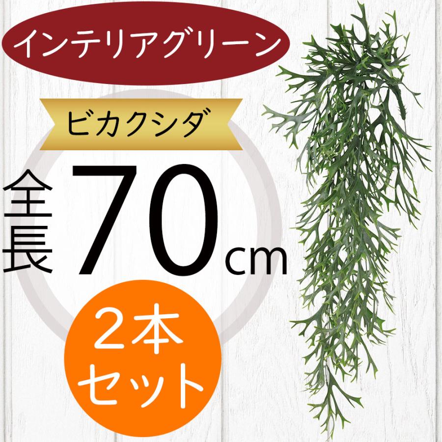 【かなり大きく存在感大！！】手間要らず✴︎流木インテリア　ビカクシダ　コウモリラン かなり大きく存在感大！！】手間要らず✴︎流木インテリア ビカクシダ