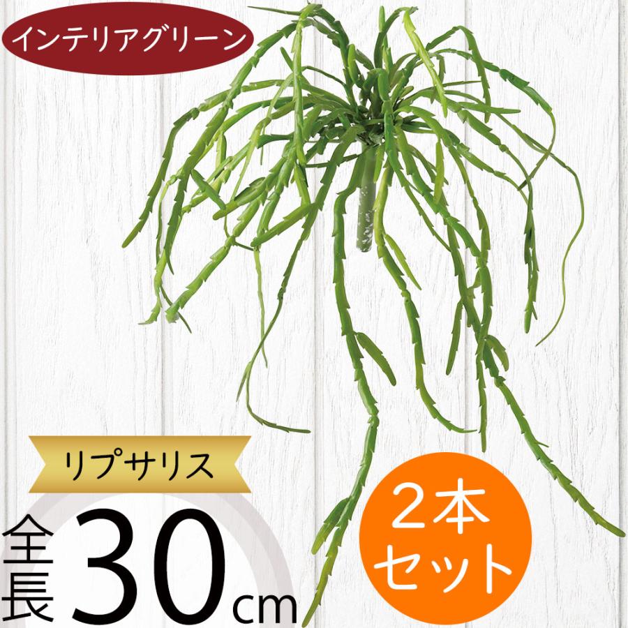 インテリアグリーン おしゃれ 多肉植物 リプサリス 観葉植物 造花