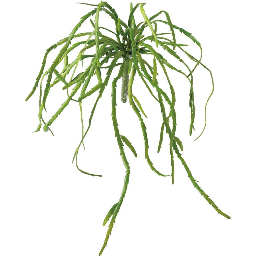 インテリアグリーン おしゃれ 多肉植物 リプサリス 観葉植物 造花