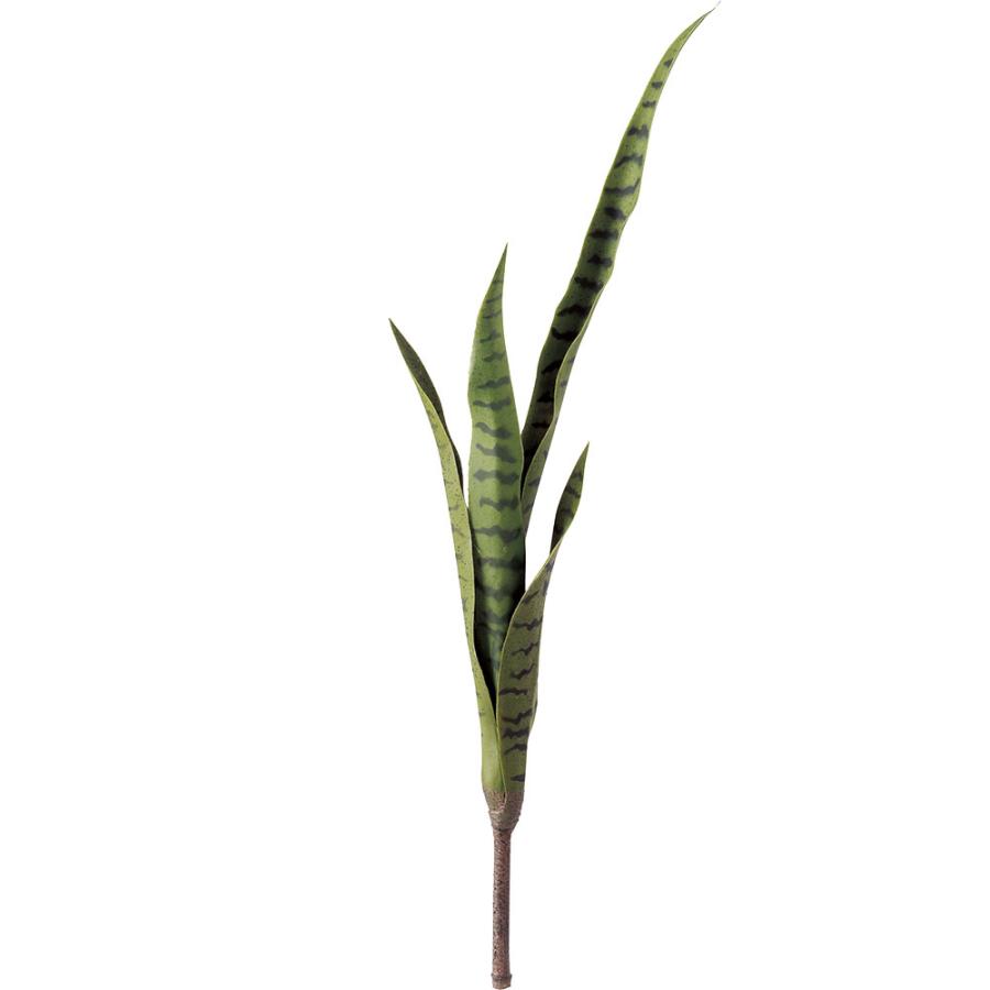 サンセベリア サンスベリア 大型 多肉植物 大きい 大きめ フェイク