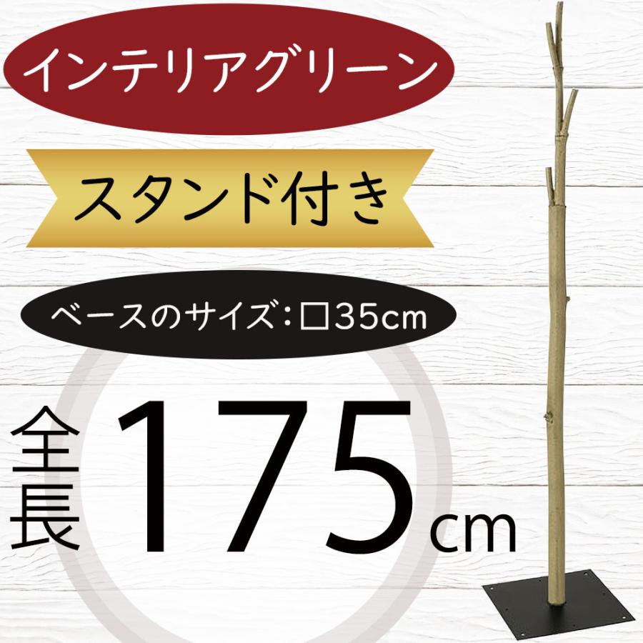 盆栽鉢 時代希少常滑名工泥珠鋲丸ミニ盆栽鉢鉢黒い盆栽鉢1点物お洒落