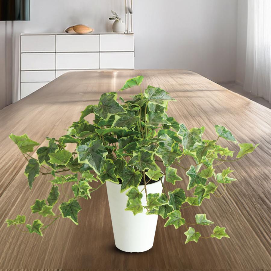 アイビー インテリアグリーン おしゃれ 人気 フェイクグリーン リアル
