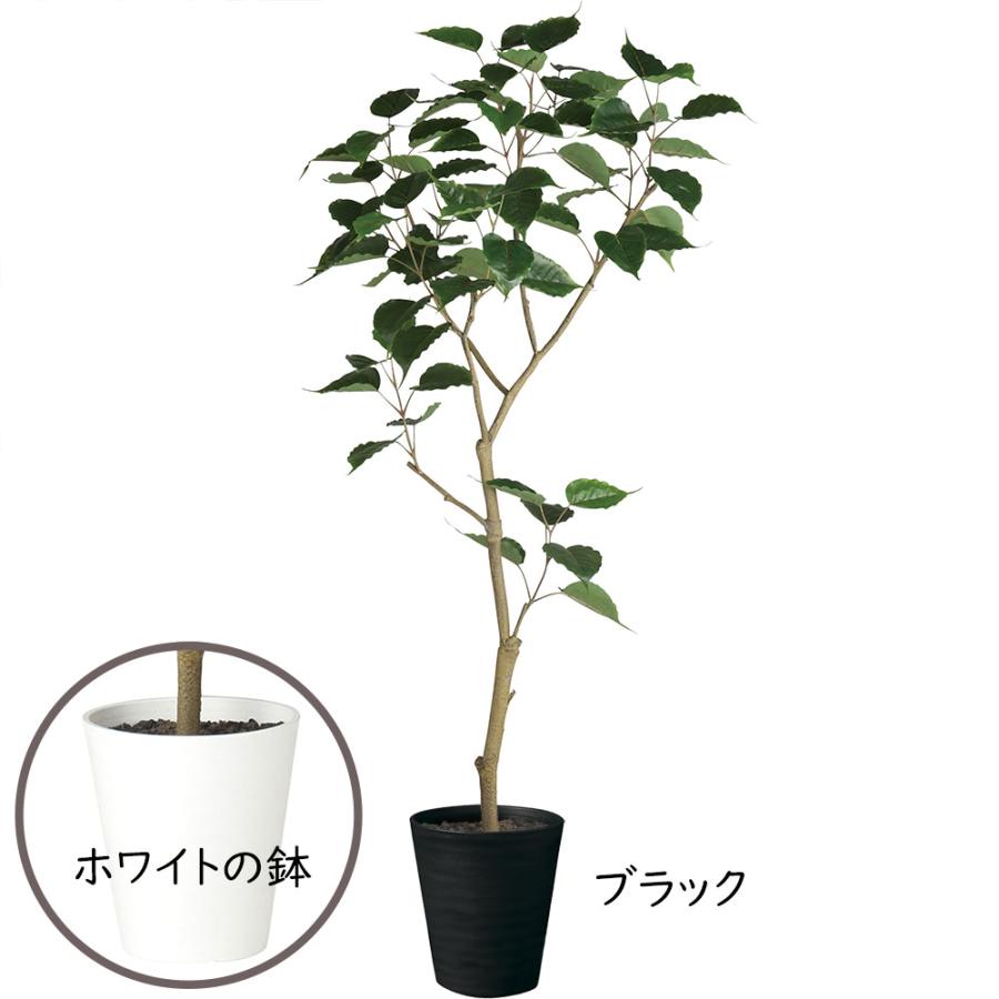 【石膏オブジェ】【観葉植物】【フェイクグリーン】【フェイクオブジェ】 石膏オブジェ】【観葉植物】【フェイクグリーン】【フェイクオブジェ】