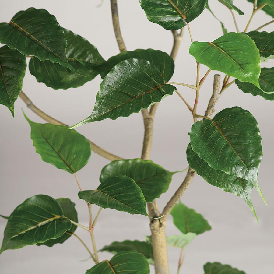 観葉植物 おしゃれ インテリアグリーン フェイクグリーン 造花 菩提樹 1.5m 別料金 です ご希望の方は 確認事項 にてお選び下さい