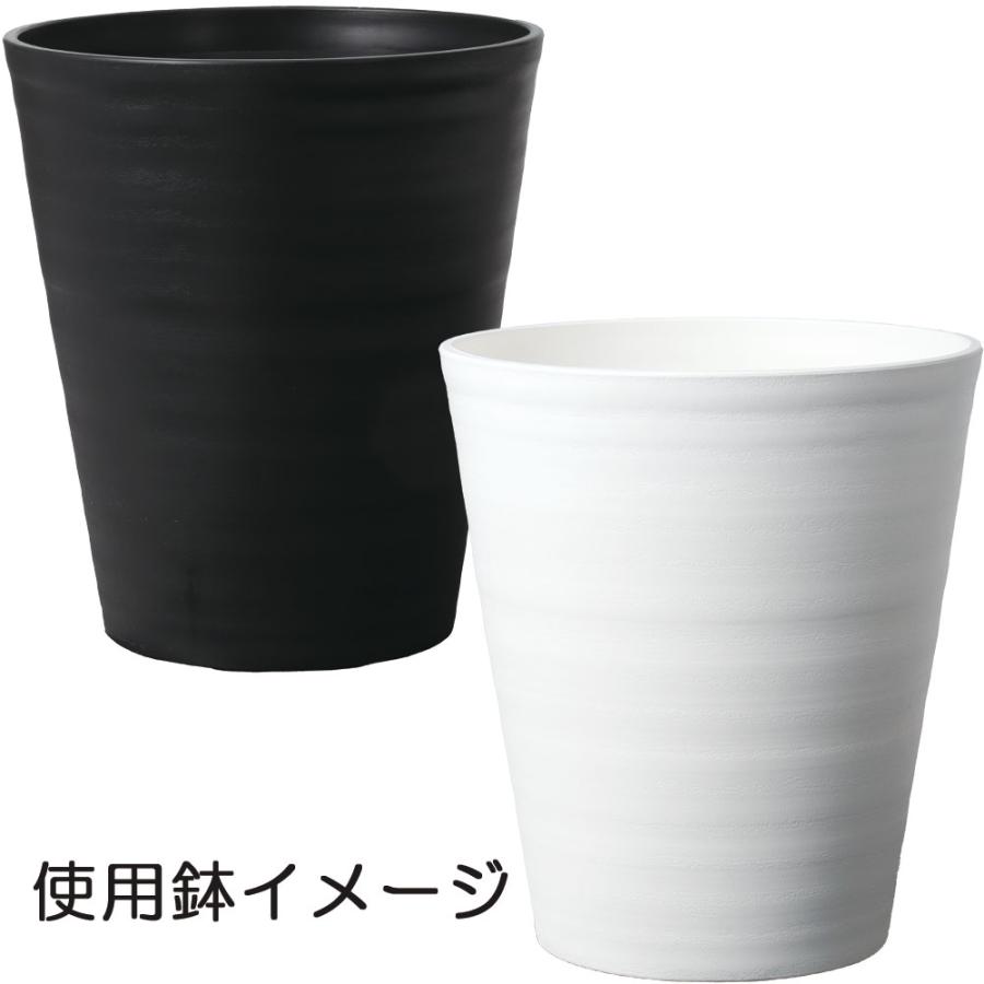 観葉植物 おしゃれ インテリアグリーン フェイクグリーン 造花 菩提樹 1.5m 別料金 です ご希望の方は 確認事項 にてお選び下さい